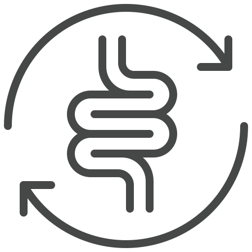 Optimises nutrient metabolism and digestion