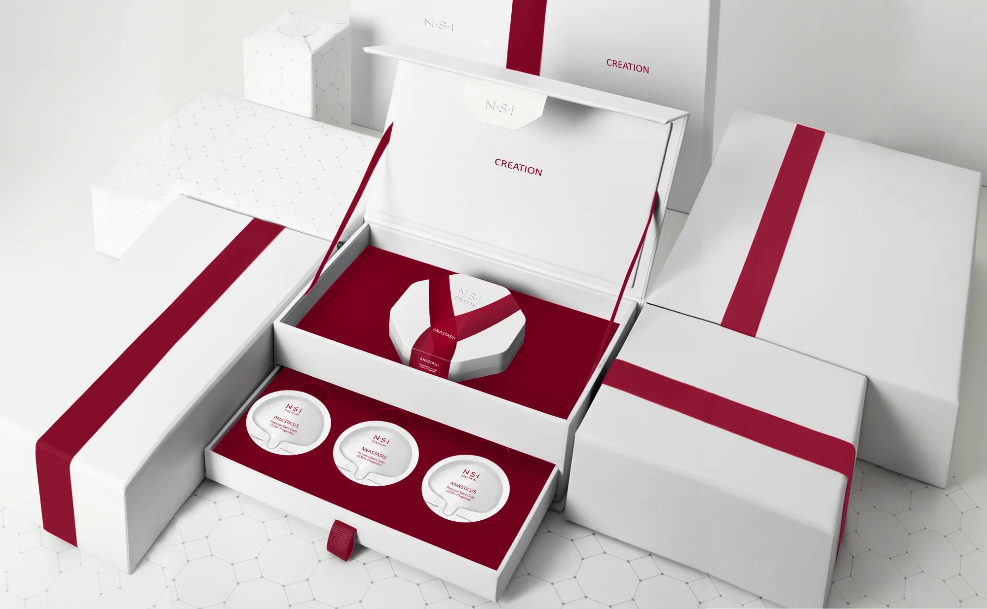 Presentation-Box-Anastasis-compressed